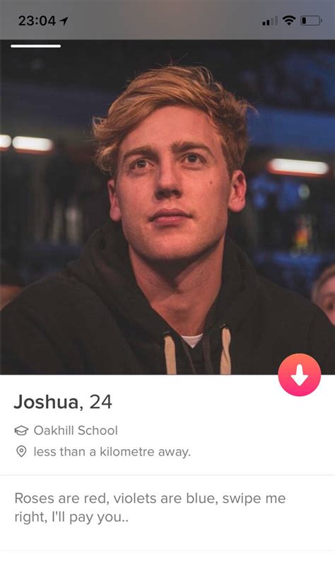 best bios for tinder|best tinder profiles for guys.